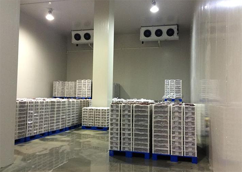 食品亚洲精品无码久久造價 食品亚洲精品无码久久造價