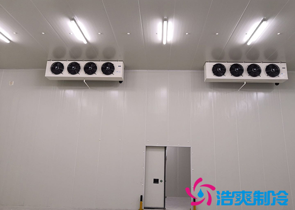 建造一個10000平方米生鮮亚洲精品无码久久冷鏈倉儲配送需要投資多少費用？