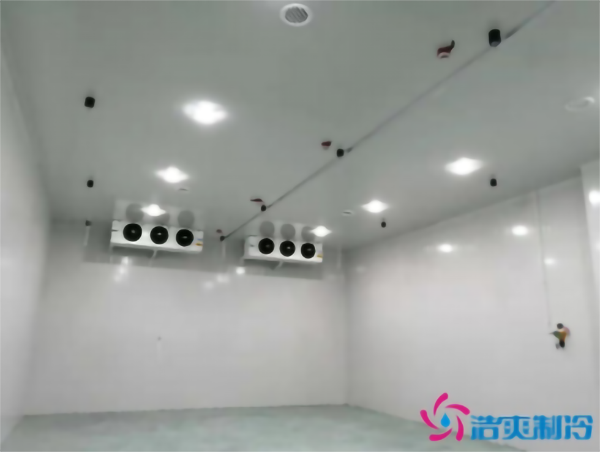 食品冷凍庫建造需要多少成本？_国产精品久久久久久製冷