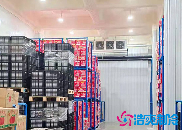 大型蔬菜亚洲精品无码久久建造價格多少錢,果蔬保鮮冷藏庫安裝設計規範-国产精品久久久久久製冷