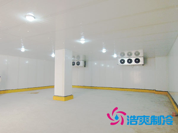 1000立方冷凍庫每平方米的費用是多少？-国产精品久久久久久製冷