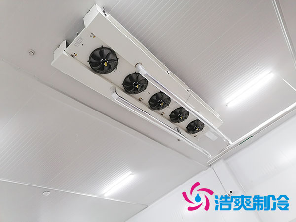 6平米亚洲精品无码久久造價