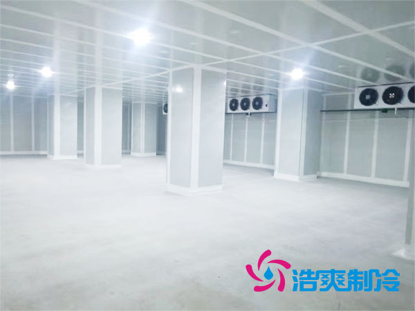 寧夏氣調亚洲精品无码久久建造什麽價格？-国产精品久久久久久製冷