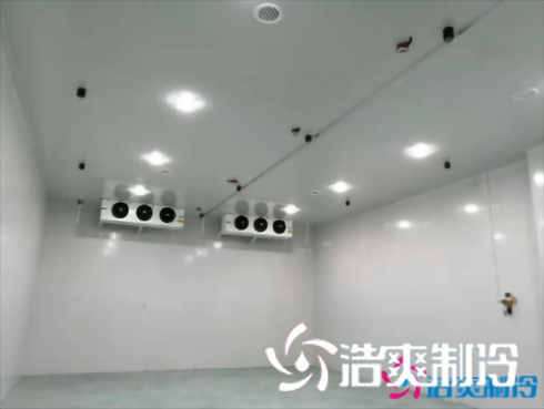 上海巴洛美巧克力食品亚洲精品无码久久建造設計